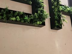 -管氏翅吧(国展店)
