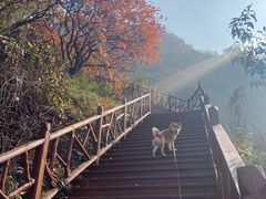 -西安金龙峡风景区