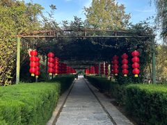 -花洲书院