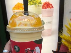 -茉酸奶(广西北路店)