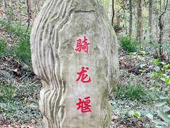 -上海佘山国家森林公园天马山园