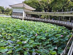 -荔湾湖公园