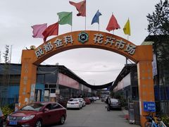 -金科花卉市场