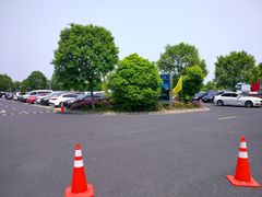 -上海欢乐谷-停车场