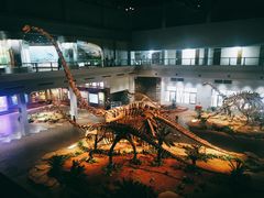 -自贡恐龙博物馆