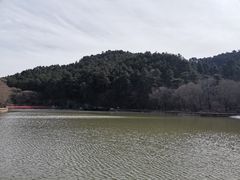 -玉华宫景区