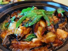 -锦江宾馆-花园餐厅