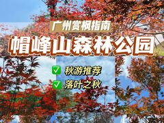 -广州市帽峰山景区