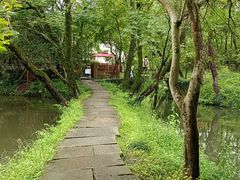 -西溪国家湿地公园