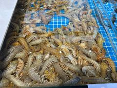 -大锅强·蒸海鲜青岛菜(吾悦广场店)