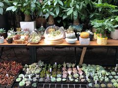 -宝鸡东道花鸟鱼虫市场(吉利花园商场店)