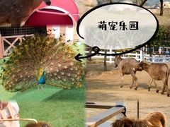 -盈香心动乐园