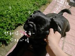 -卢家妈妈·西餐厨房(潮州万泰左一城店)