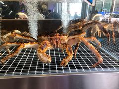 -喜来酌海鲜·饺子(和平一店)