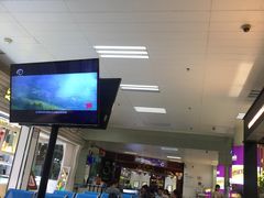-德宏芒市国际机场