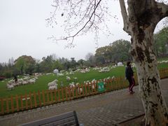 -东湖磨山景区
