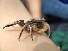 -上海吴淞炮台湾国家湿地公园