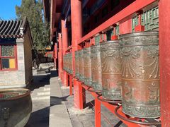 -红花点心局(护国寺店)