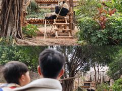 -灵玲国际马戏城