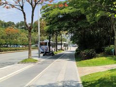 -清湖文化公园