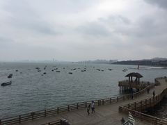 -悦港(悦港酒店)