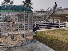 -宁波九龙湖开元度假村