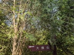 -佛慧山