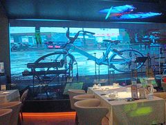 -蝴蝶汇音乐酒馆(罗湖店)