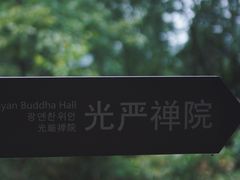 -凤栖山