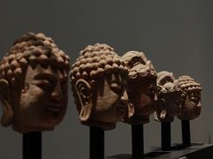 -鹿野苑石刻艺术博物馆