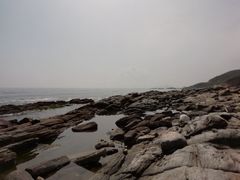 -盐洲岛