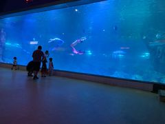 -福州罗源湾海洋世界旅游区