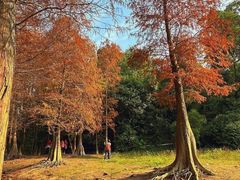 -广州市白云山风景名胜区