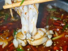 -云鱿记鱿鱼鸡·野生菌火锅(人民南路店)