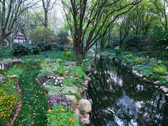 -上海共青森林公园