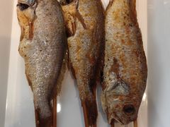 -有蚝有翅烧烤大排档·宵夜(右安门店)