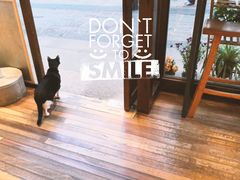 -猫的天空之城概念书店(杭州南宋御街店)