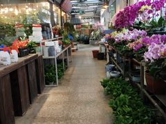 -双季花艺园艺市场(浦东店)