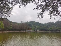 -西樵山风景名胜区-天湖公园