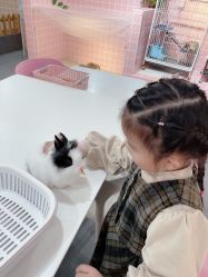 -Moni星球萌宠·小马宝莉·灵蛇·高端高阶全萌宠互动体验俱乐部(红豆国际广场店)