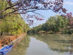 -九科绿洲