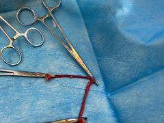 -瑞派动物医院·猫专科·至诚(江南中分院)