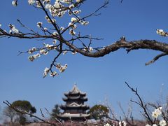 -上海海湾国家森林公园