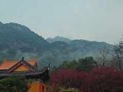 -九华山风景区