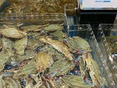 -盒马鲜生(龙德广场店)