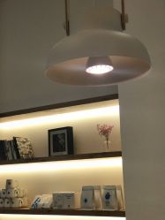 -好看加白色房子