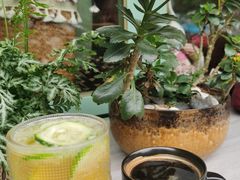 柠檬茶-尤加利咖啡馆
