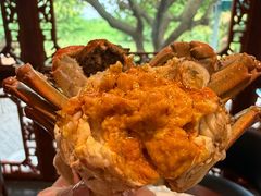 -欢乐蟹庄·精品农家乐(阳澄湖莲花岛店)