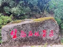 -山王坪喀斯特国家生态公园