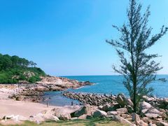 -广东惠东海龟国家级自然保护区